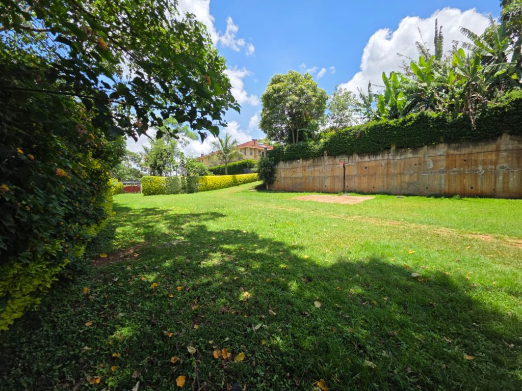 WhatsApp Image 2026 04 10 at 14.08.14 1