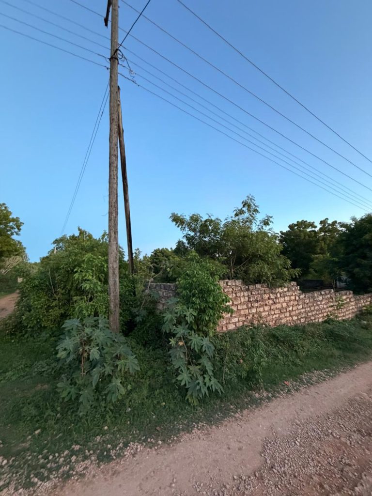 WhatsApp Image 2026 04 13 at 10.06.24 10