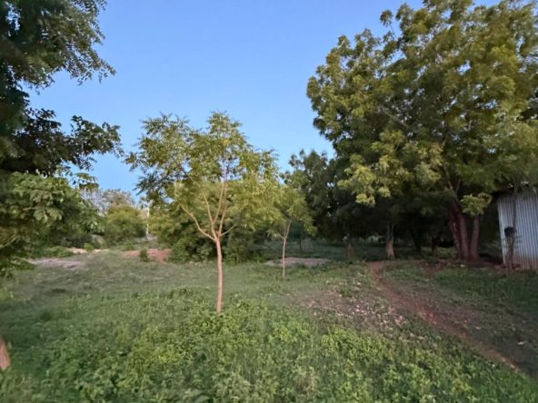 WhatsApp Image 2026 04 13 at 10.06.24 11