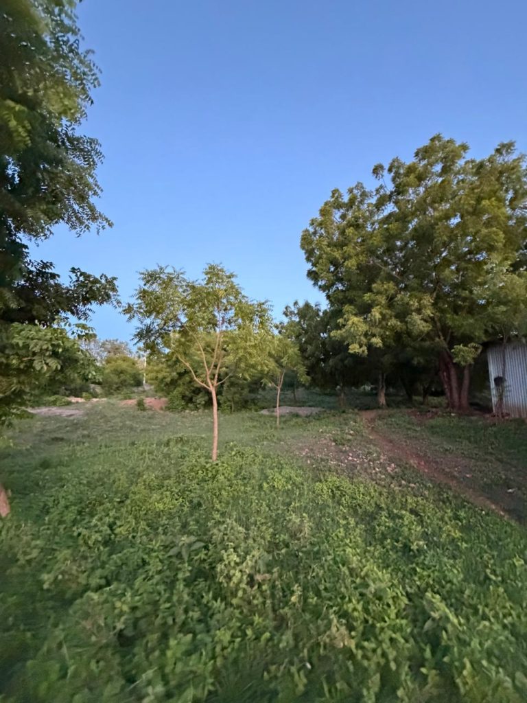 WhatsApp Image 2026 04 13 at 10.06.24 11