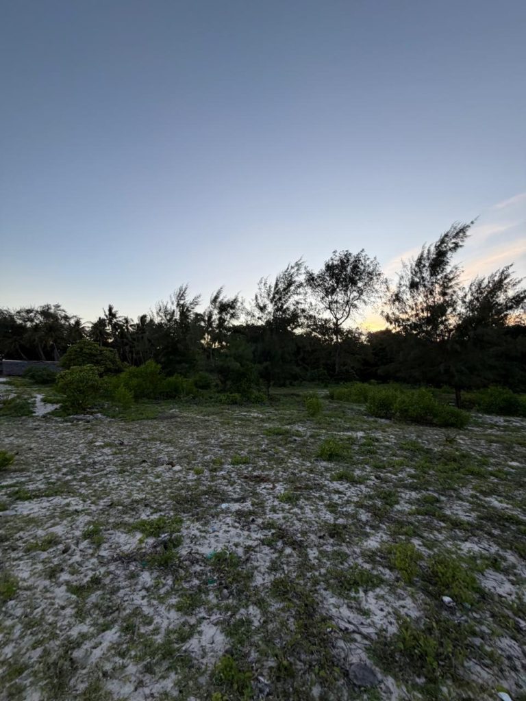 WhatsApp Image 2026 04 13 at 10.06.24 2