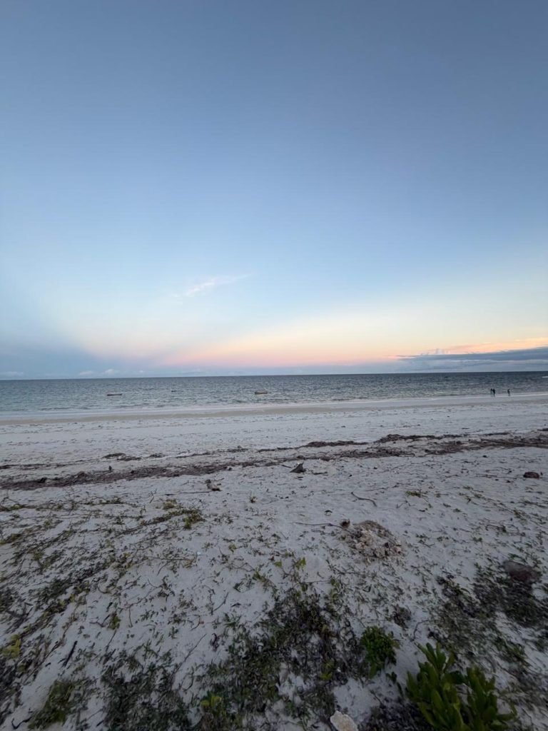 WhatsApp Image 2026 04 13 at 10.06.24 5