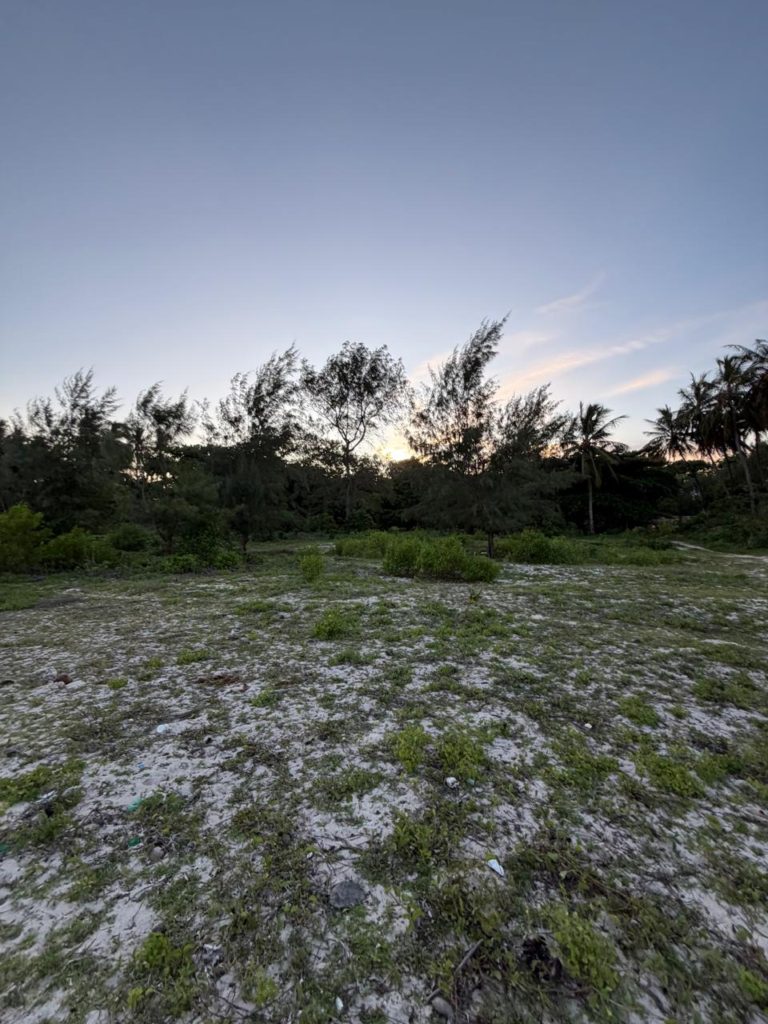 WhatsApp Image 2026 04 13 at 10.06.24