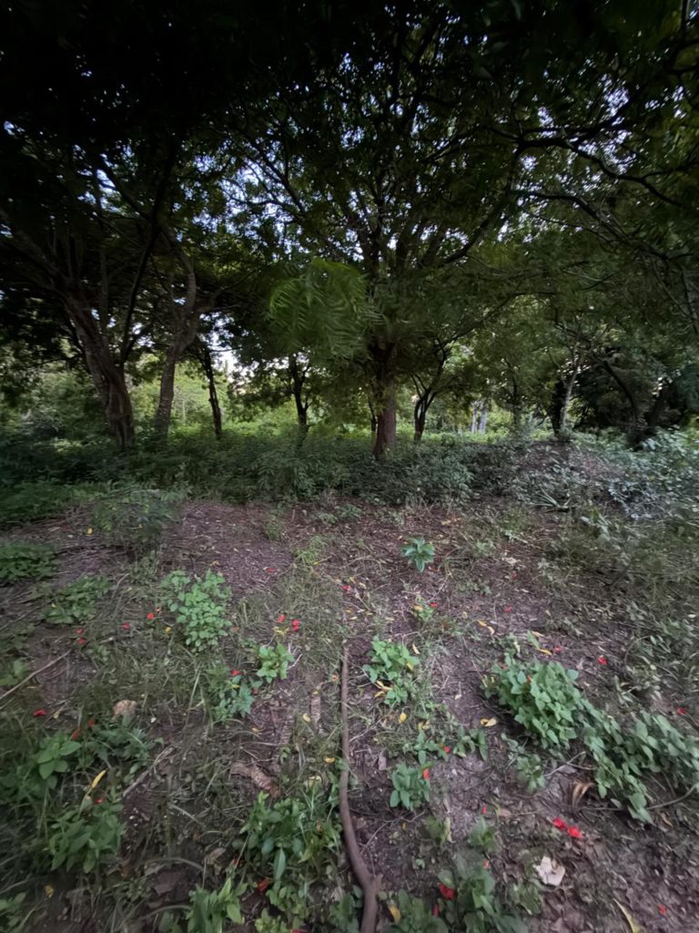 WhatsApp Image 2026 04 13 at 10.06.24 8