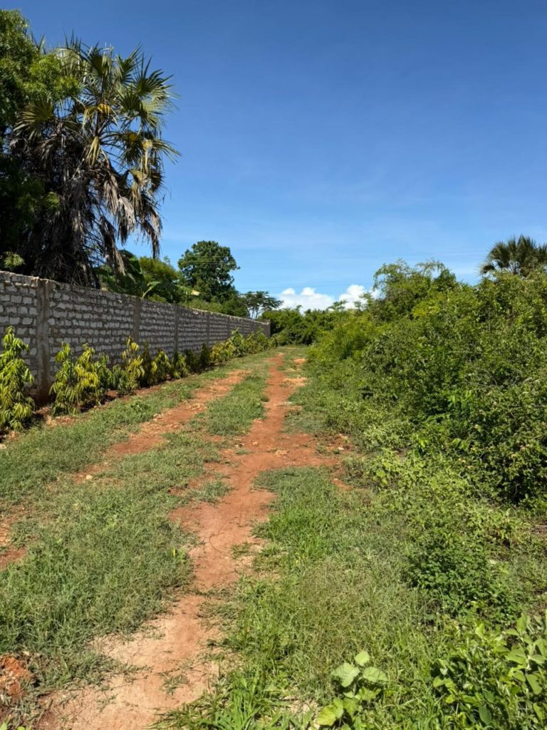 WhatsApp Image 2026 04 13 at 15.49.57