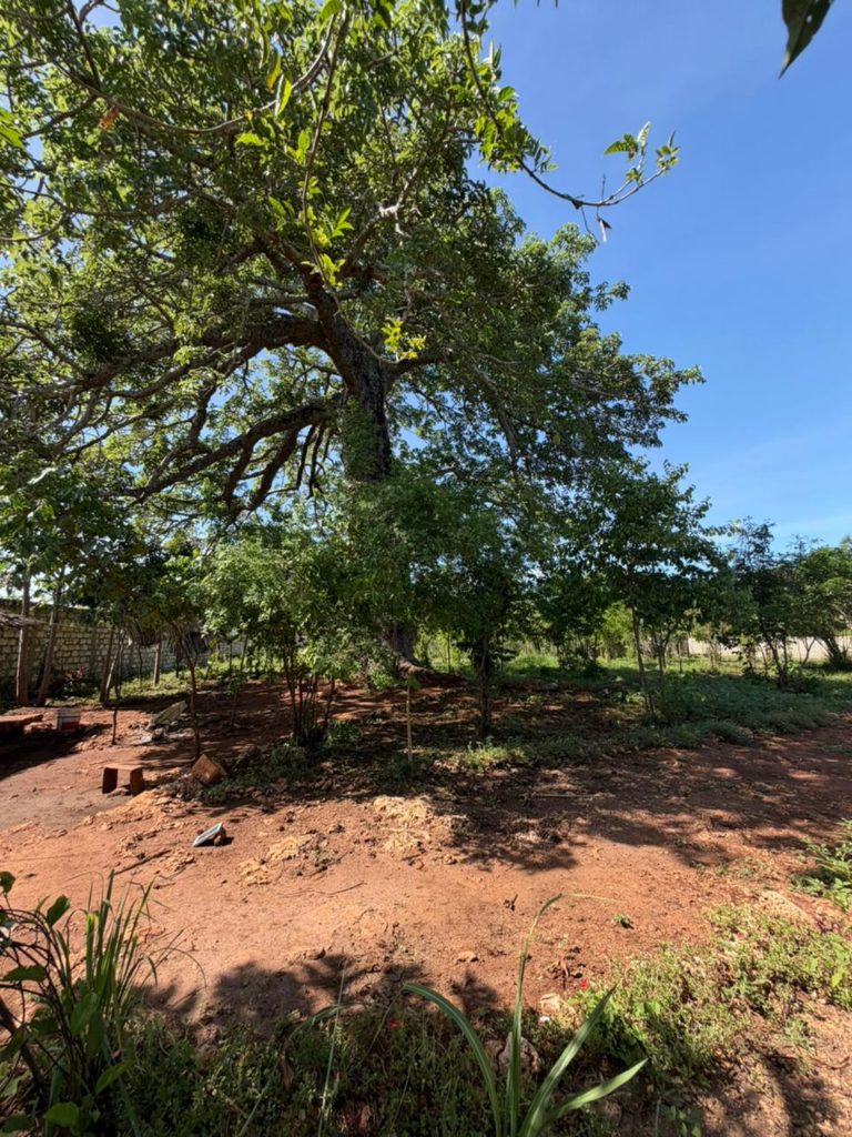 WhatsApp Image 2026 04 13 at 15.49.58 1