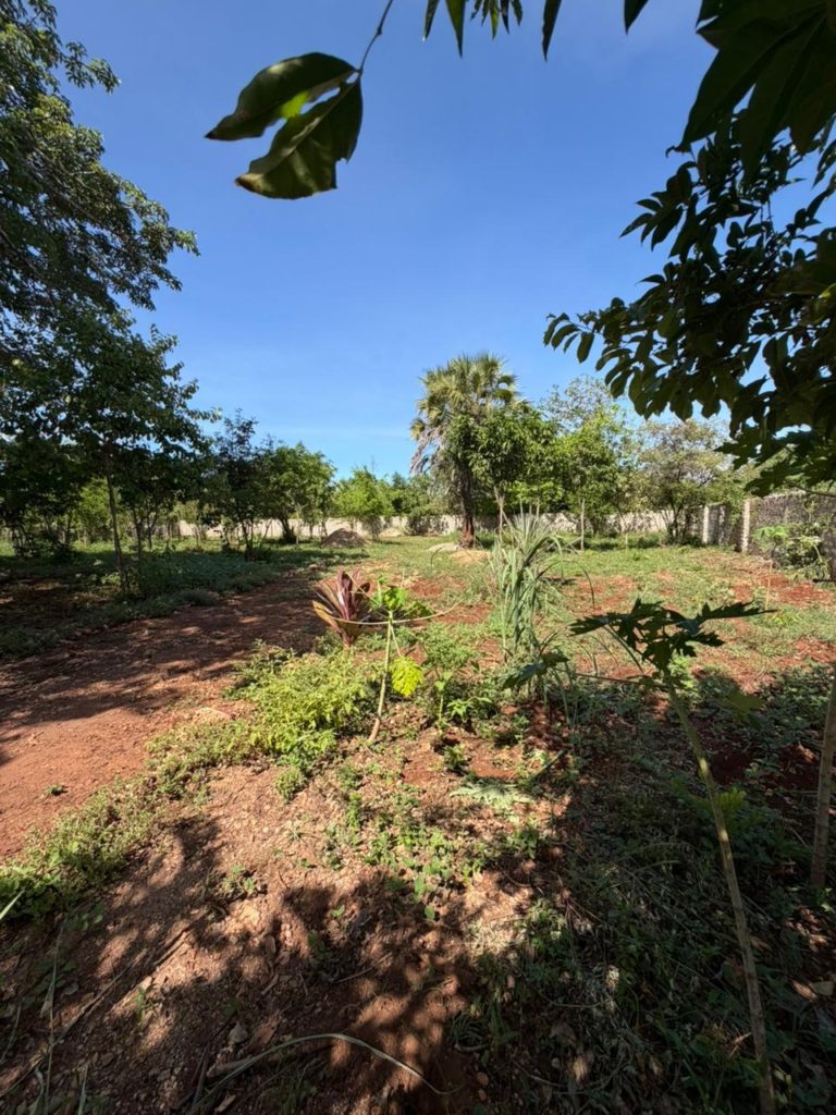 WhatsApp Image 2026 04 13 at 15.49.58 2