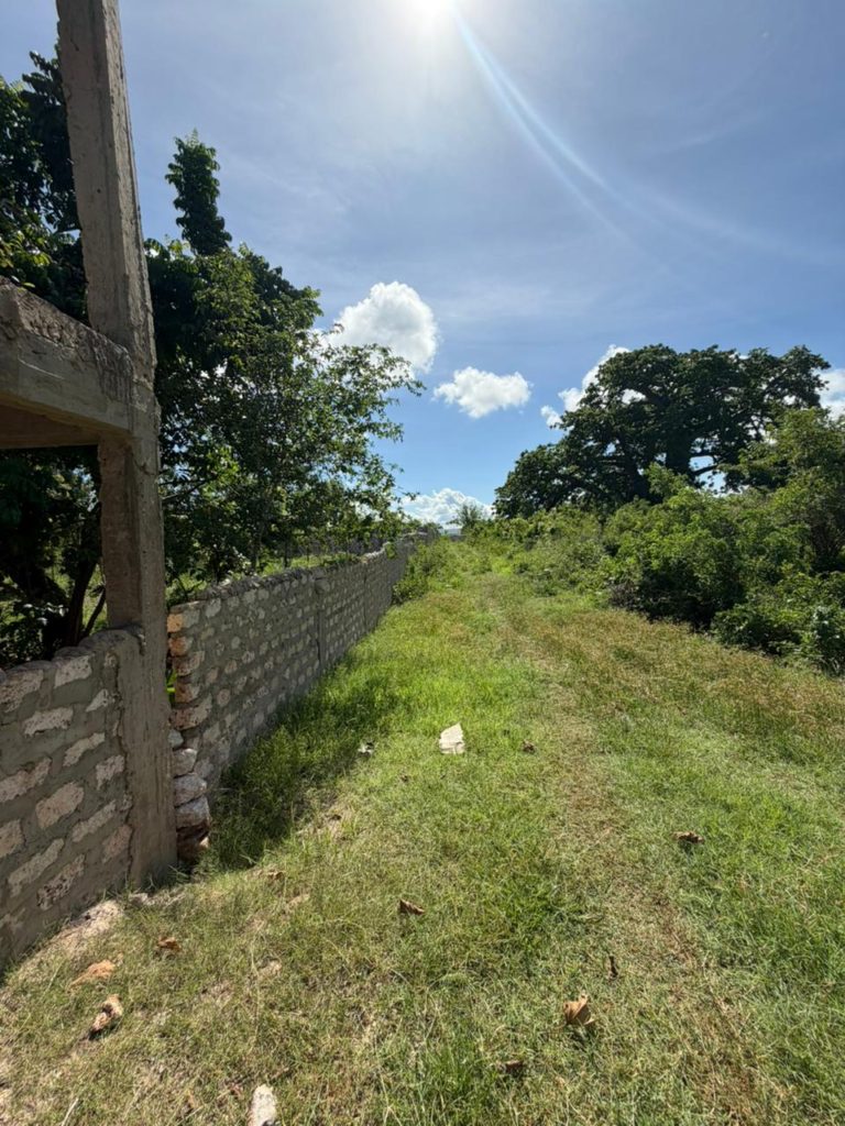 WhatsApp Image 2026 04 13 at 15.49.58 3