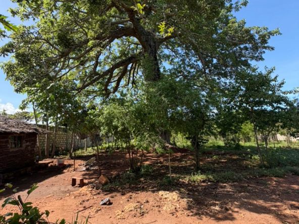 WhatsApp Image 2026 04 13 at 15.49.58