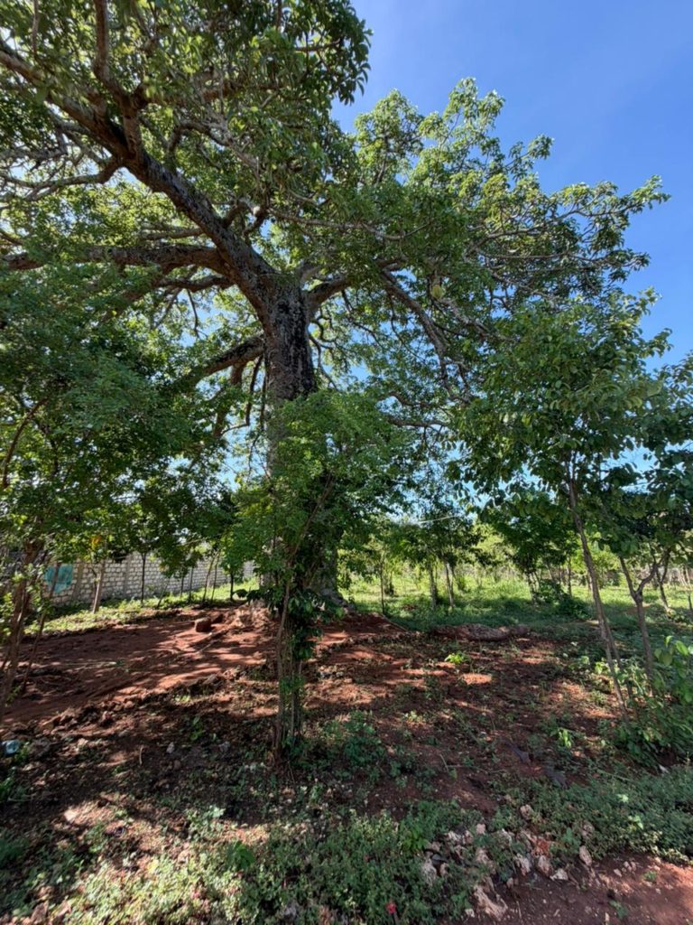 WhatsApp Image 2026 04 13 at 15.50.00