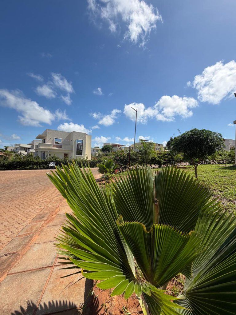 WhatsApp Image 2026 04 16 at 15.03.03 1