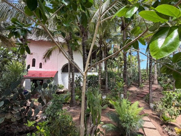 WhatsApp Image 2026 04 20 at 15.31.06