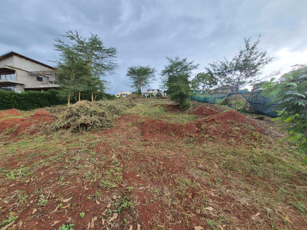 WhatsApp Image 2026 04 21 at 08.22.59 1