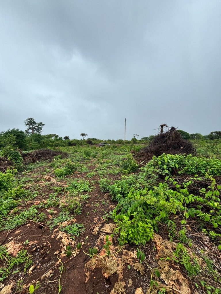 WhatsApp Image 2026 04 22 at 12.06.20