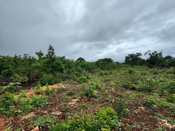 WhatsApp Image 2026 04 22 at 12.06.21