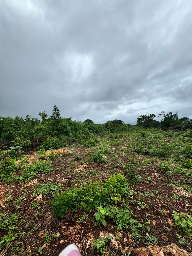 WhatsApp Image 2026 04 22 at 12.06.21