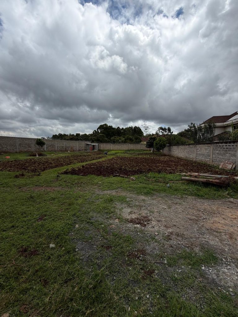 WhatsApp Image 2026 04 23 at 12.02.11 2