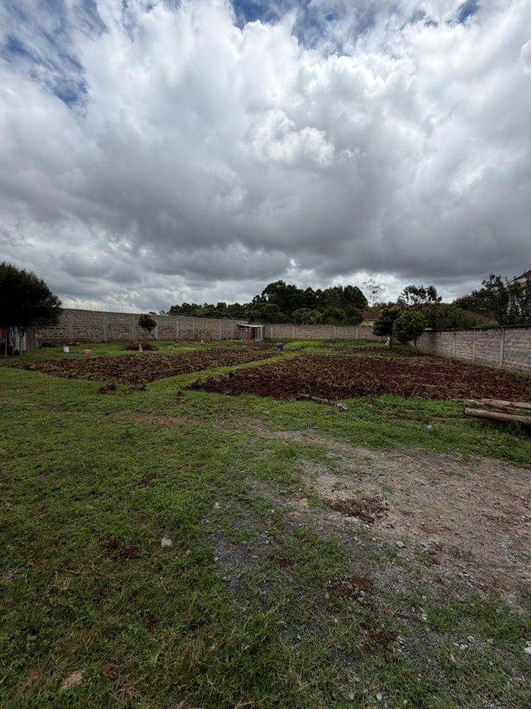 WhatsApp Image 2026 04 23 at 12.02.11