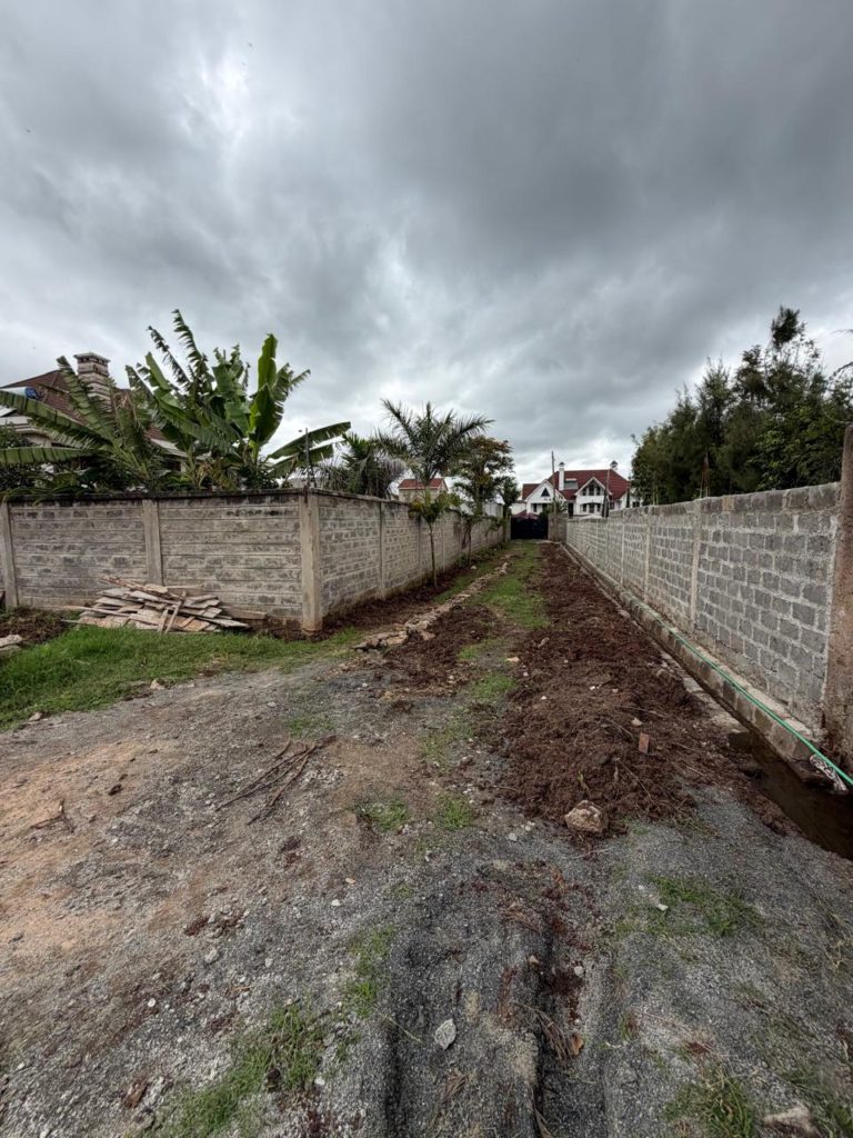 WhatsApp Image 2026 04 23 at 12.02.12 3