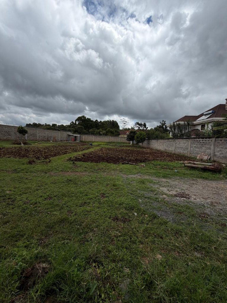 WhatsApp Image 2026 04 23 at 12.02.12