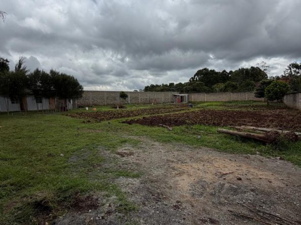 WhatsApp Image 2026 04 23 at 12.02.13 1