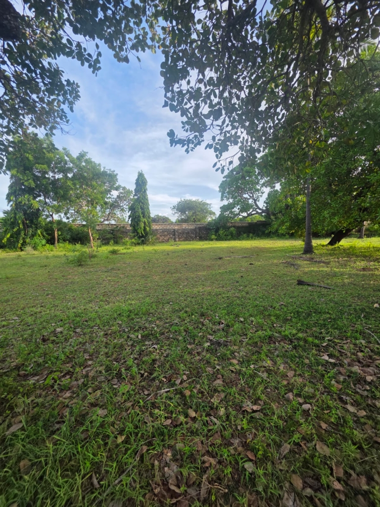 WhatsApp Image 2026 04 28 at 19.45.17