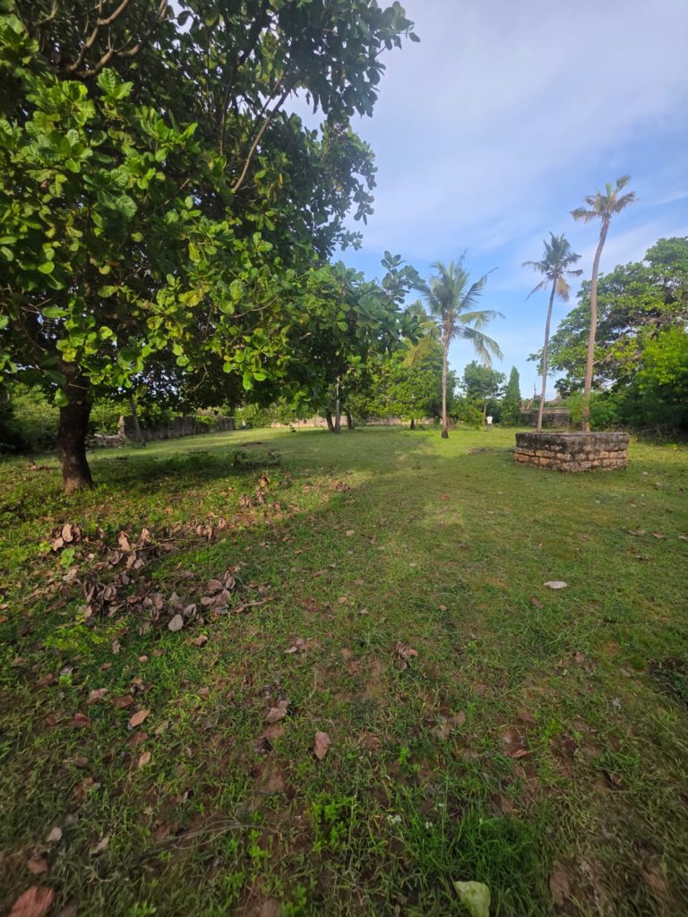 WhatsApp Image 2026 04 28 at 19.45.19 1