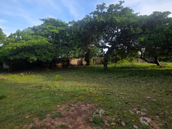 WhatsApp Image 2026 04 28 at 19.45.19