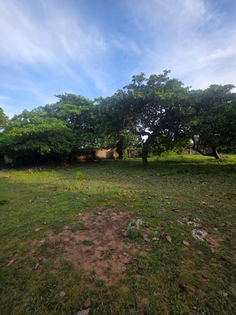 WhatsApp Image 2026 04 28 at 19.45.19