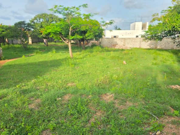 WhatsApp Image 2026 04 29 at 13.51.05 1