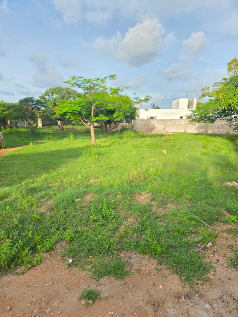 WhatsApp Image 2026 04 29 at 13.51.05 1