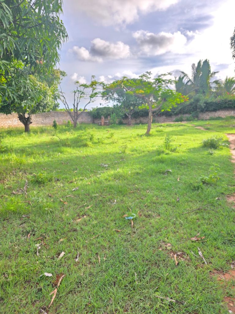 WhatsApp Image 2026 04 29 at 13.51.05 2