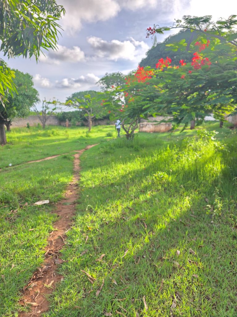 WhatsApp Image 2026 04 29 at 13.51.05