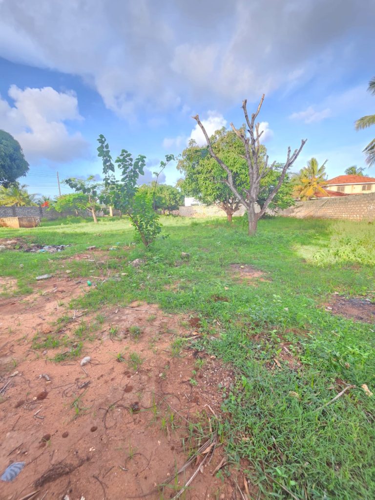 WhatsApp Image 2026 04 29 at 13.51.06 1