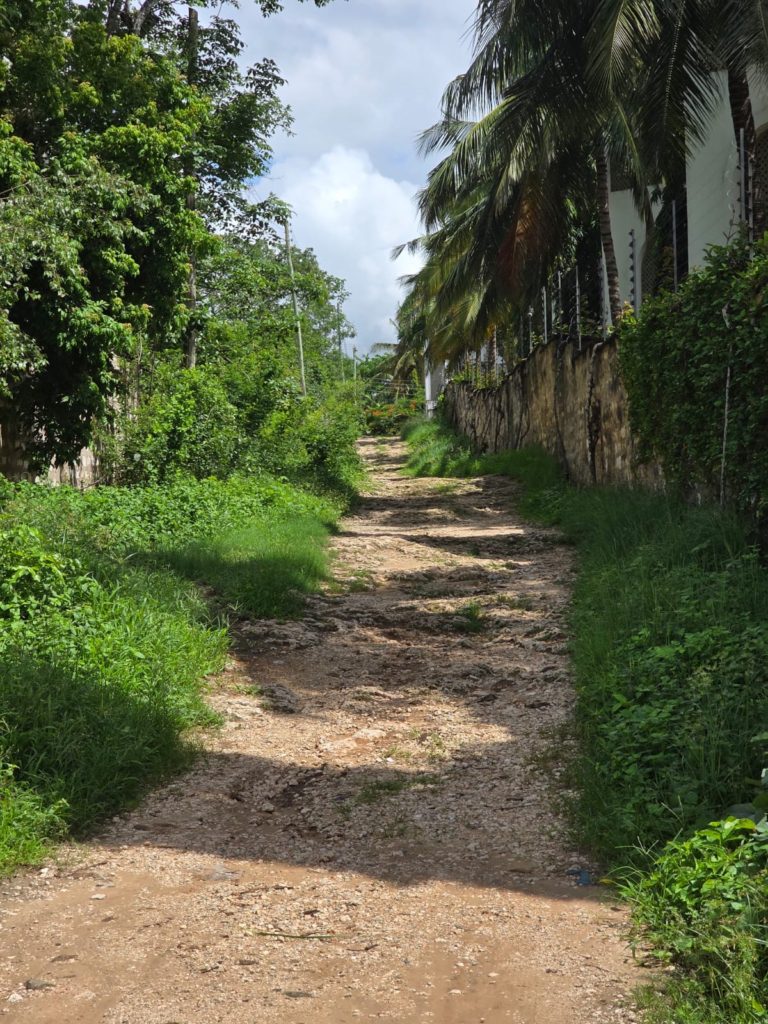 WhatsApp Image 2026 04 29 at 16.08.24