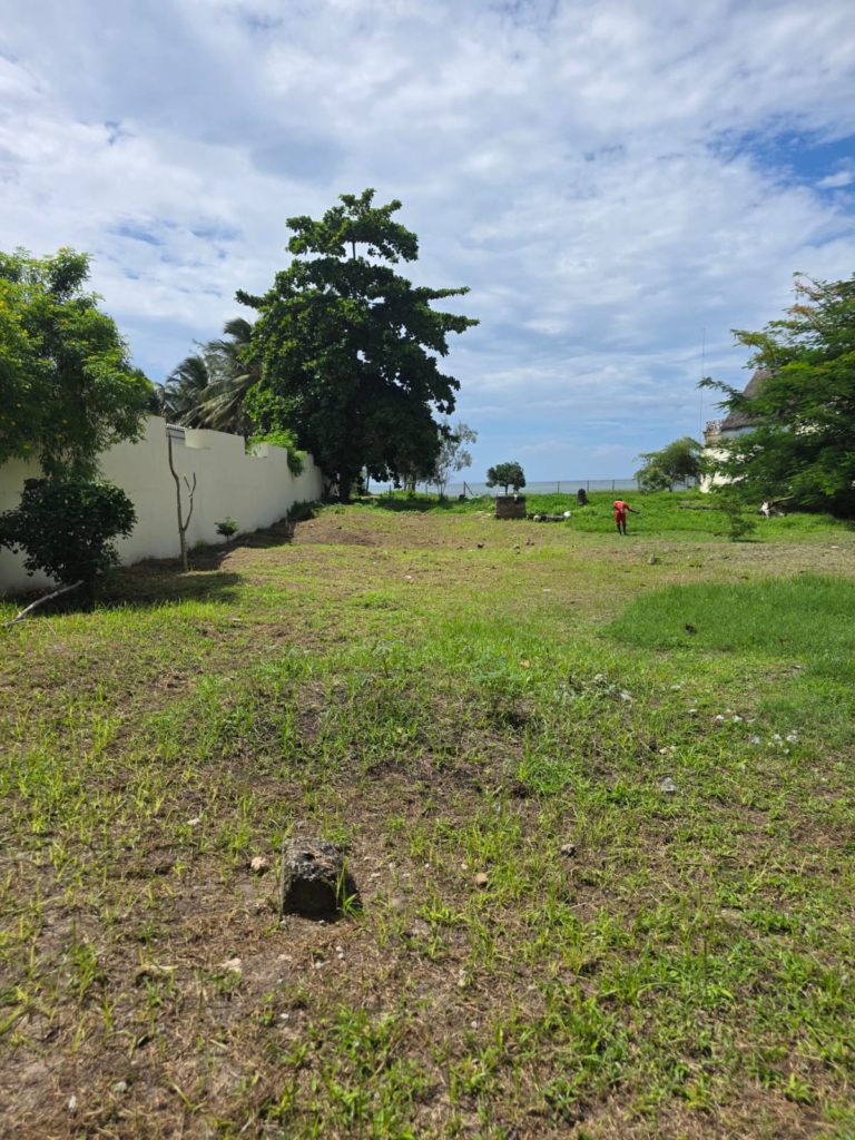 WhatsApp Image 2026 04 29 at 16.08.25 1