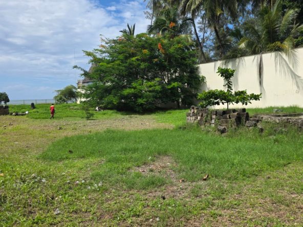 WhatsApp Image 2026 04 29 at 16.08.25 4