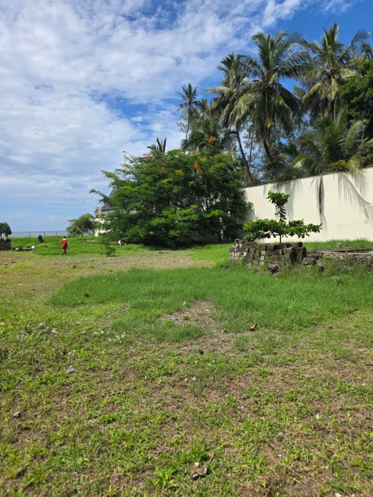 WhatsApp Image 2026 04 29 at 16.08.25 4