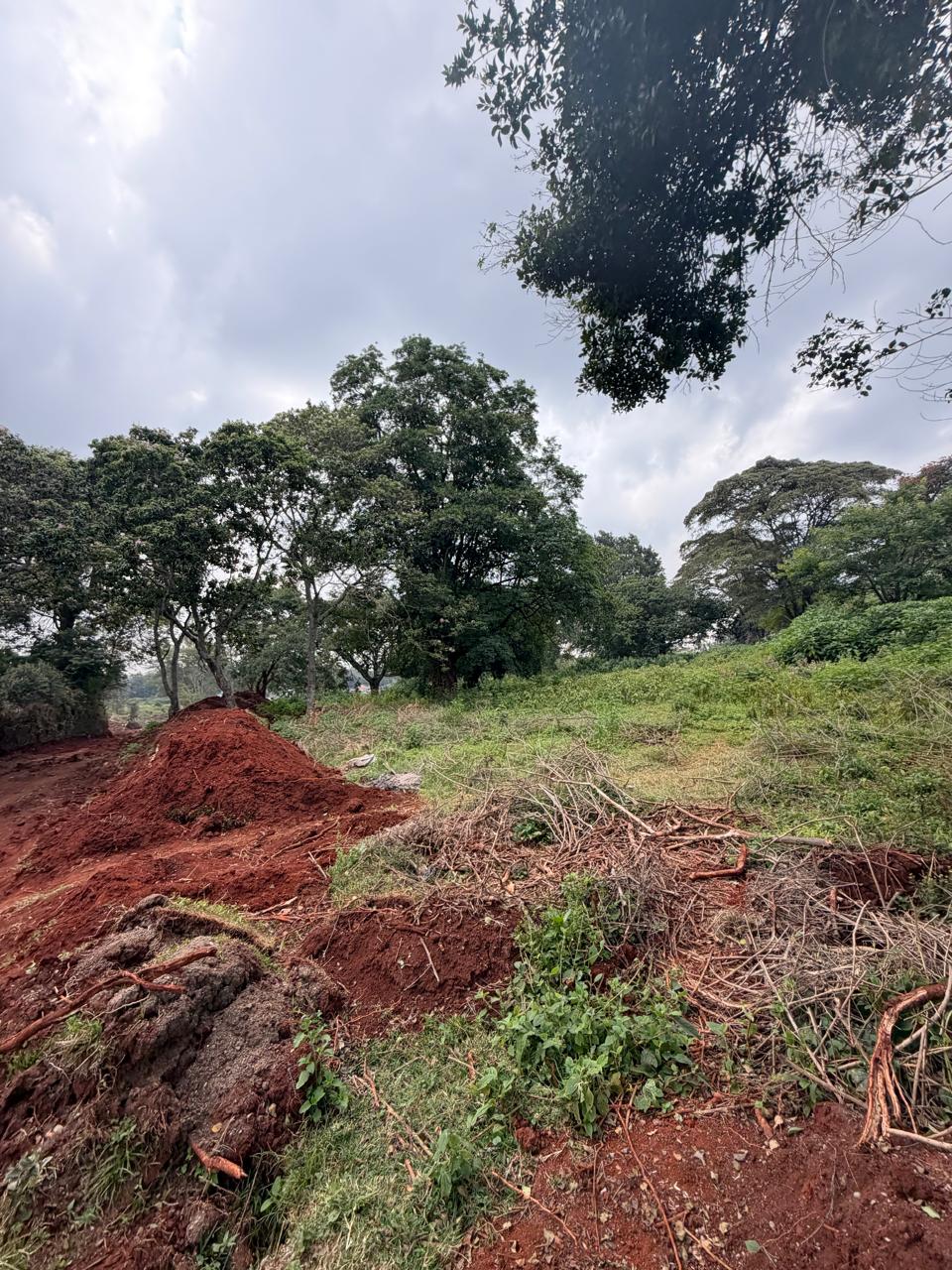 Land for sale in Karen near Karen Hospital