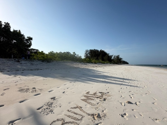 WhatsApp Image 2026 07 21 at 21.02.30