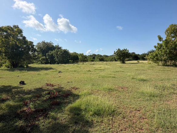 WhatsApp Image 2026 07 23 at 19.36.34