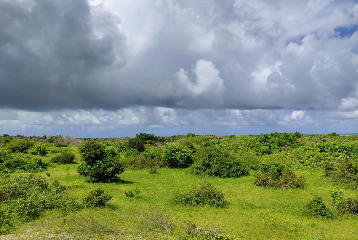 1170